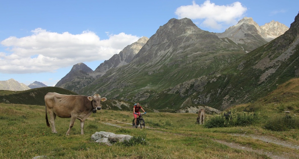 Chamanna Jenatsch SAC (oua_620271102_image)