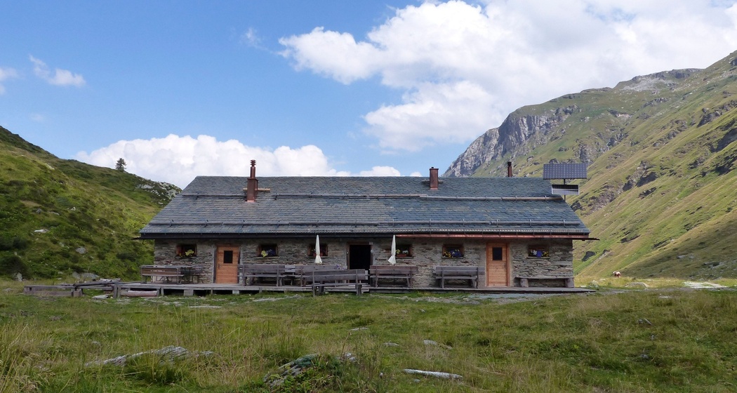 Alp Muot Selvas (Sommer) (oua_620271677_image)