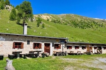 oua (620272042)