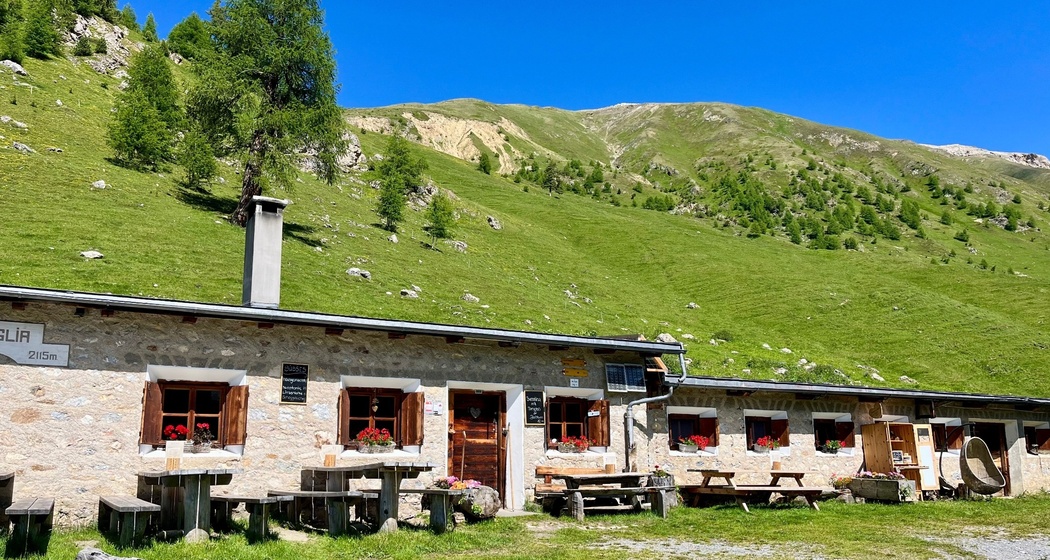 oua (620272042)