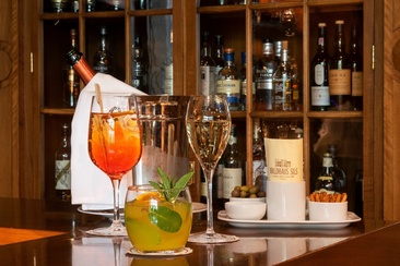 Hôtel Waldhaus - Bar et fumoir (oua_620272085_image)