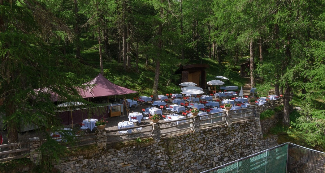 Hotel Waldhaus - Terrasse im Lärchenwald (oua_620272089_image)