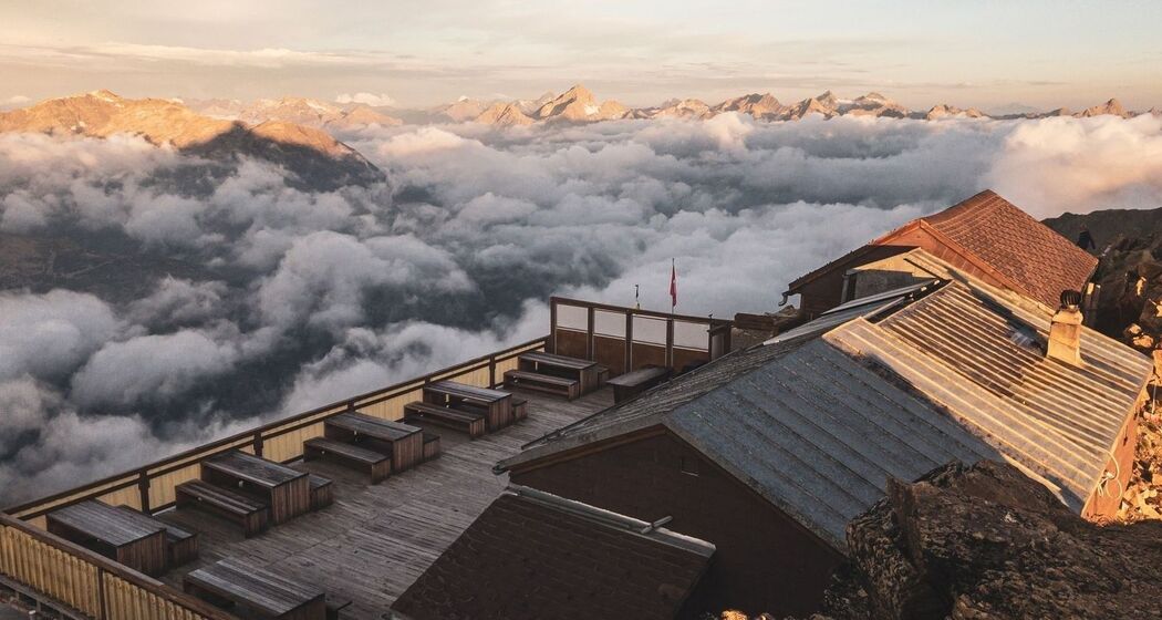 Chamanna Georgy (oua_620272172_image)