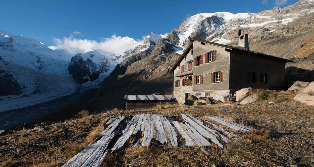 Chamanna Boval SAC (oua_620272437_image)