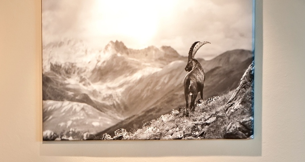 Restaurant Donatz (oua_620272992_image)