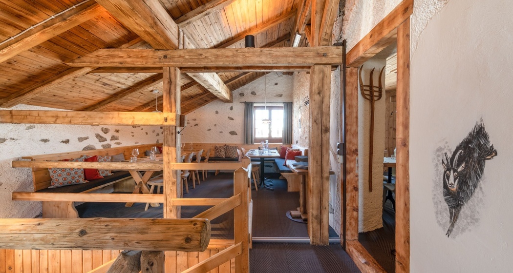 Alpetta - Grilleda Alpina (oua_620273960_image)