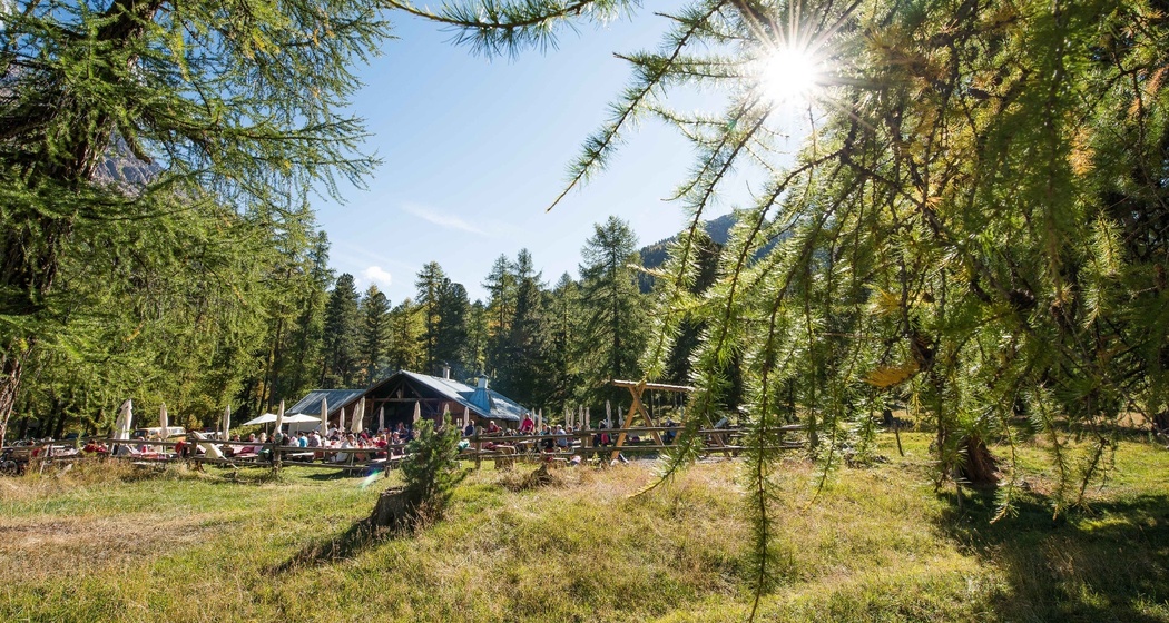 Alp-Schaukäserei Morteratsch (oua_620274005_image)