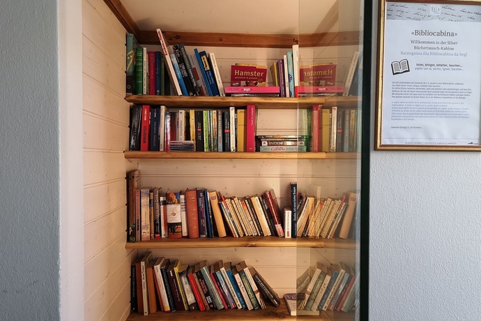 Bibliocabina illa passarella (oua_620276454_image)