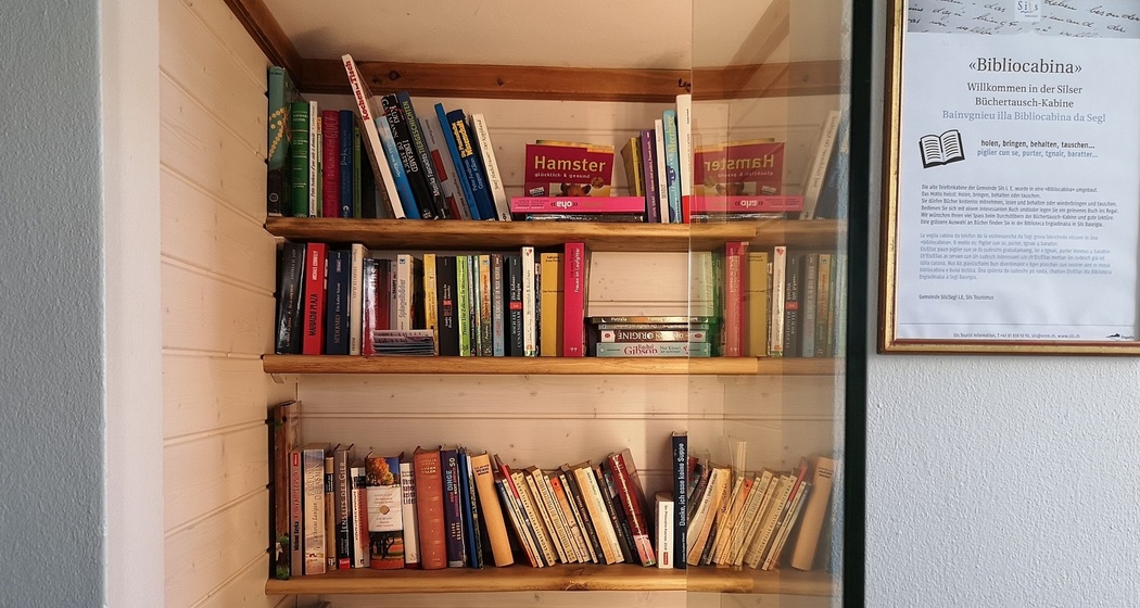 Bibliocabina illa passarella (oua_620276454_image)