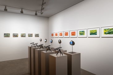 plattner & plattner Art Gallery (oua_620277631_image)