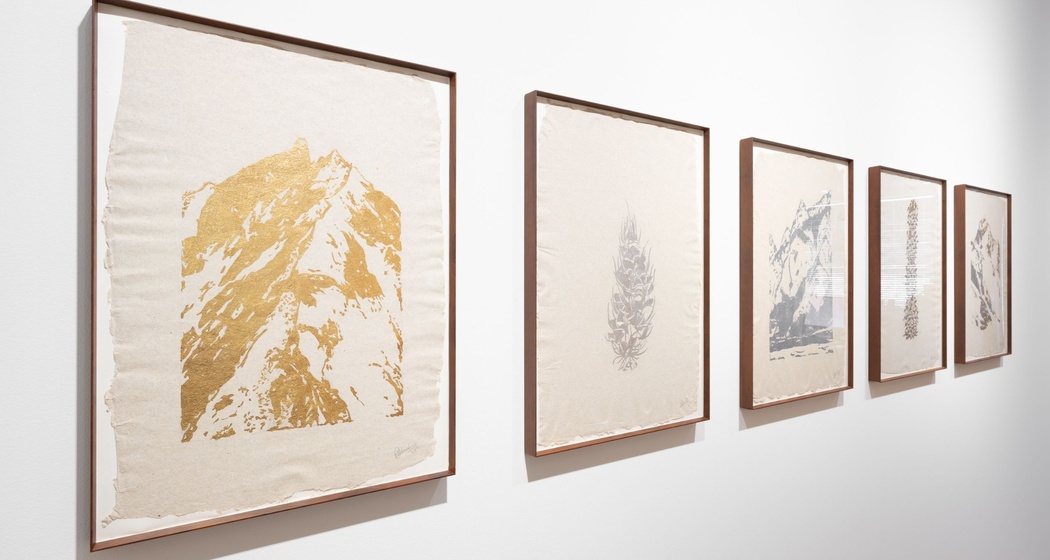 plattner & plattner Art Gallery (oua_620277632_image)