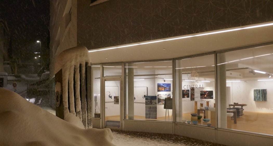 Central Art Gallery (oua_620277673_image)