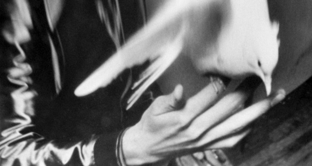 Galleria Monica de Cardenas (oua_620277844_image)