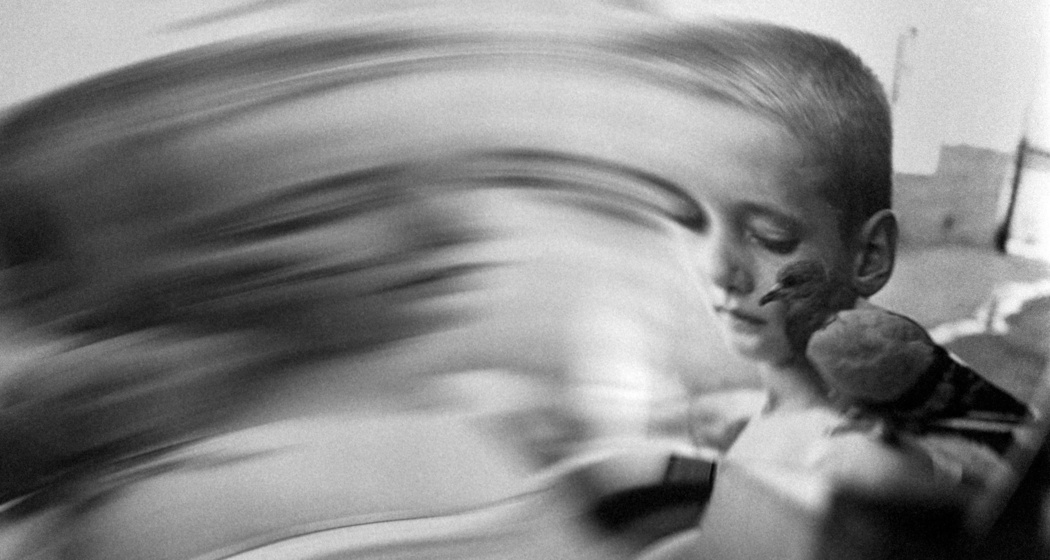 Galleria Monica de Cardenas (oua_620277845_image)