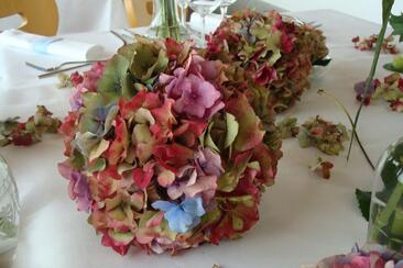 Blumen-Atelier BACCARA (oua_620277952_image)