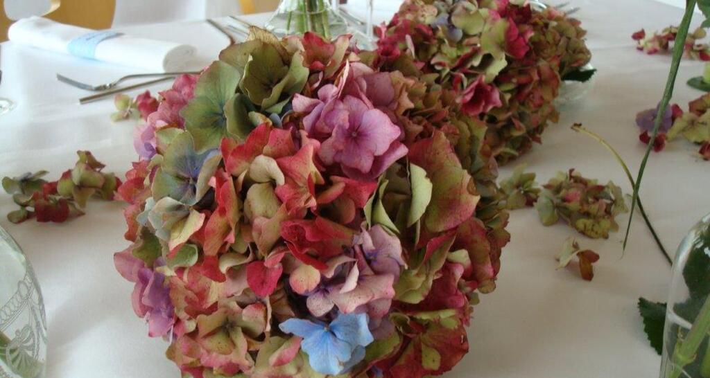 Blumen-Atelier BACCARA (oua_620277952_image)