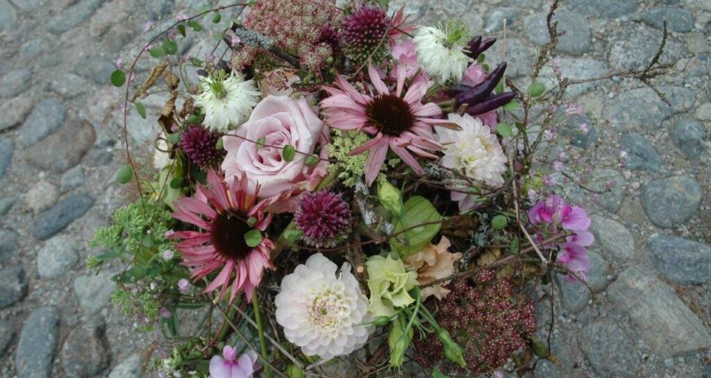 Blumen-Atelier BACCARA (oua_620277953_image)