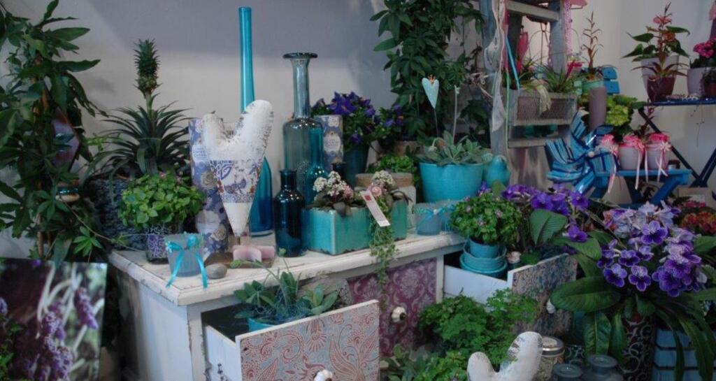 Blumen-Atelier BACCARA (oua_620277955_image)