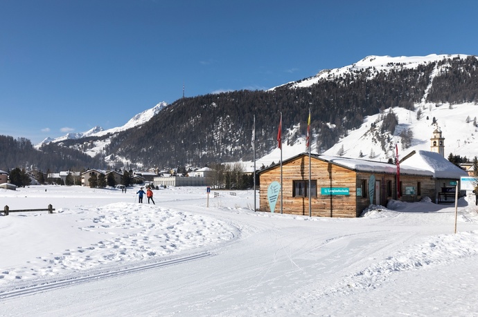 Cross-country skiing centre Celerina (oua_620278064_image)