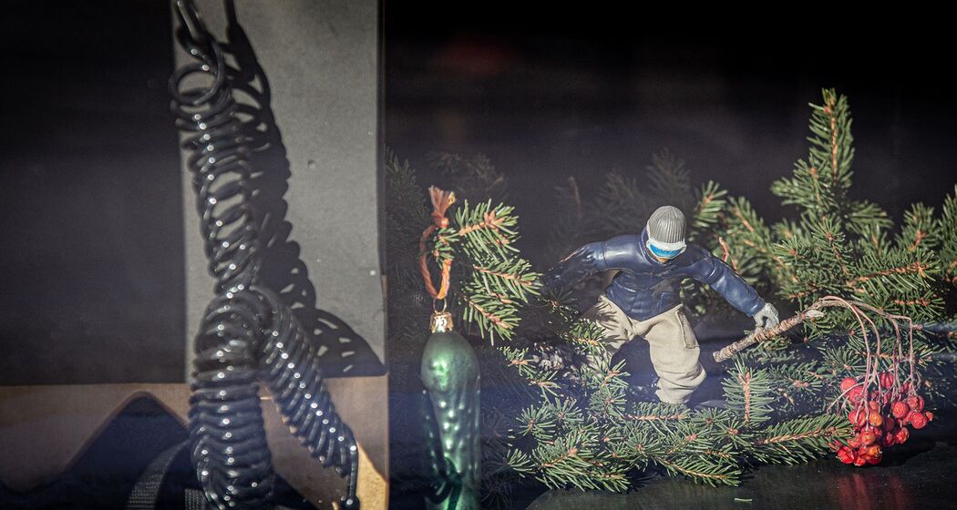 Playground in Paradise (oua_620278065_image)