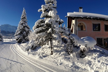 Golf Restaurant Samedan Winter (oua_620278109_image)