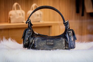 Miu Miu (oua_620278147_image)