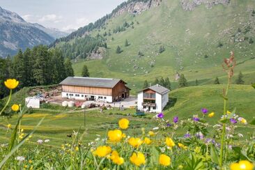 Hofladen - Crasta Farm Fex (oua_620278358_image)