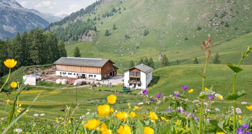 Hofladen - Crasta Farm Fex (oua_620278358_image)