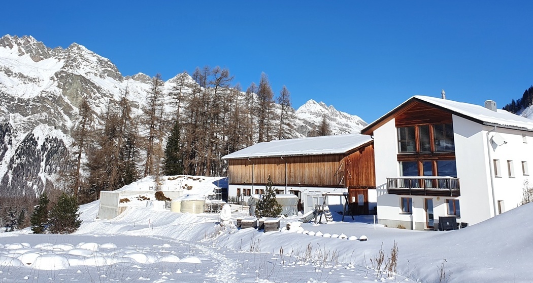 Hofladen - Crasta Farm Fex (oua_620278359_image)