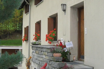 Bee honey from Pernisch Mathilda (oua_620278743_image)