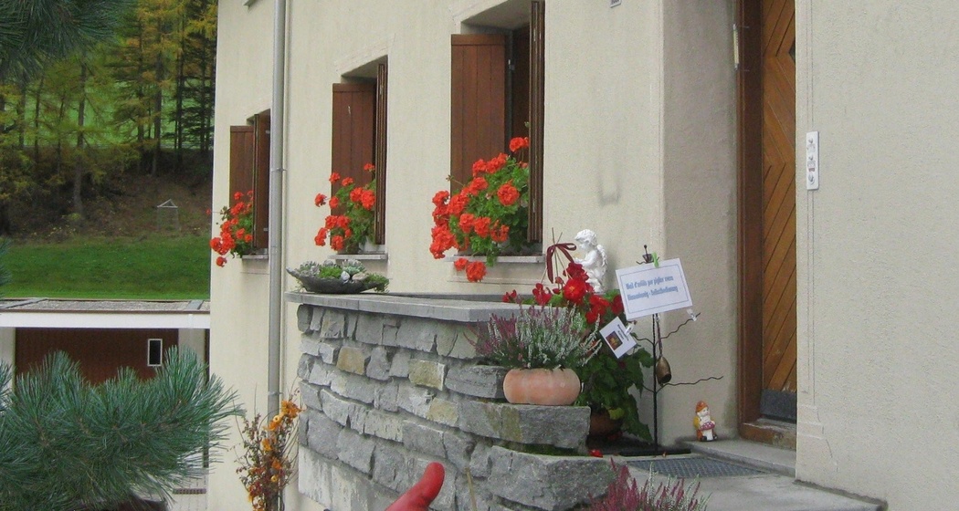 Bienenhonig von Pernisch Mathilda (oua_620278743_image)