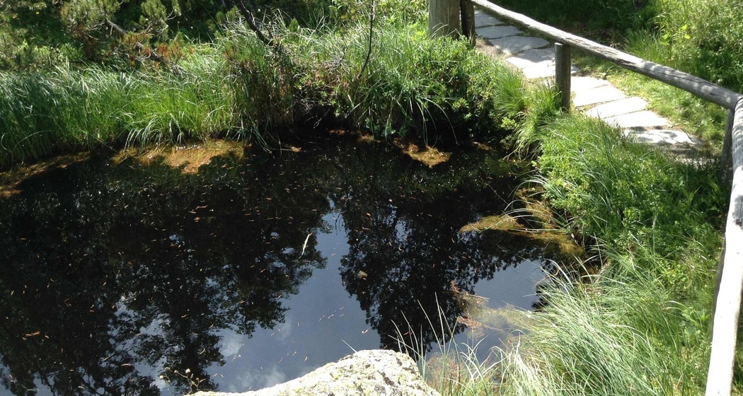 Die Gletschermühlen in Maloja (oua_620278949_image)