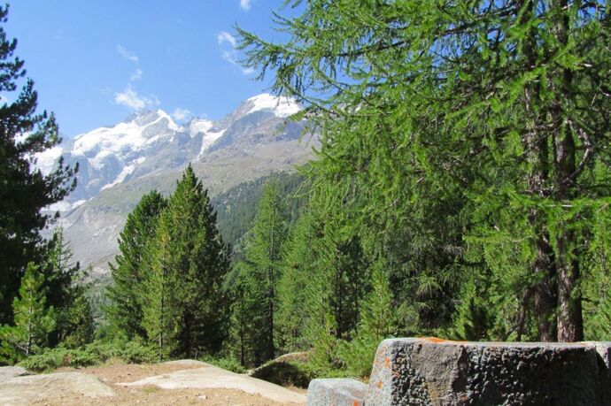 Chünetta bench (oua_620279087_image)