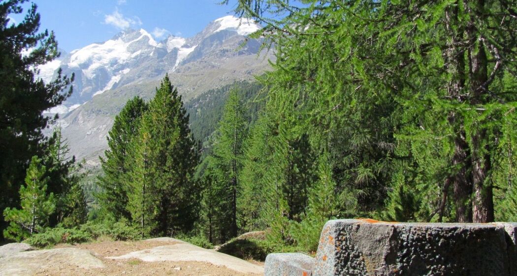 Sitzbank Chünetta (oua_620279087_image)