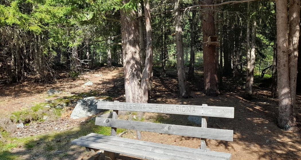 Sitzbänke Stazerwald (oua_620279208_image)