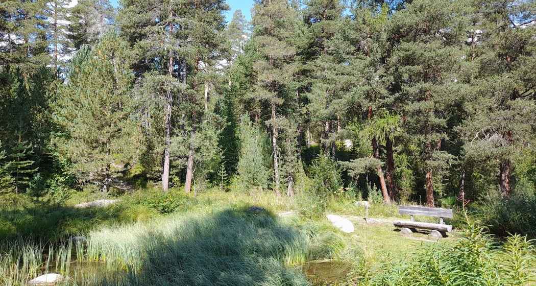 Sitzbänke Stazerwald (oua_620279215_image)