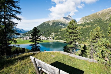 Banc Crest'Alta (oua_620279228_image)