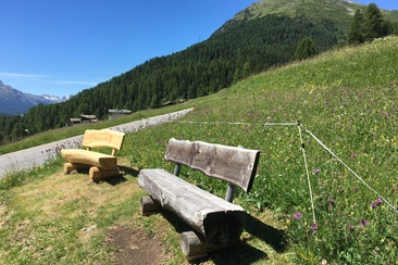 Panca Arshaida Suot (oua_620279477_image)