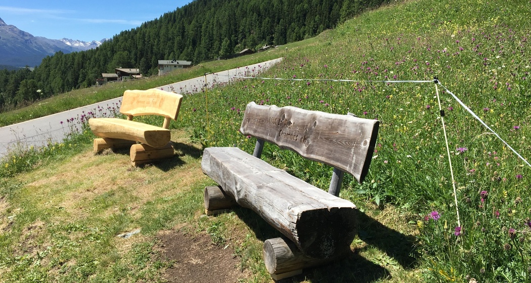 Sitzbank Arschaida Suot (oua_620279477_image)