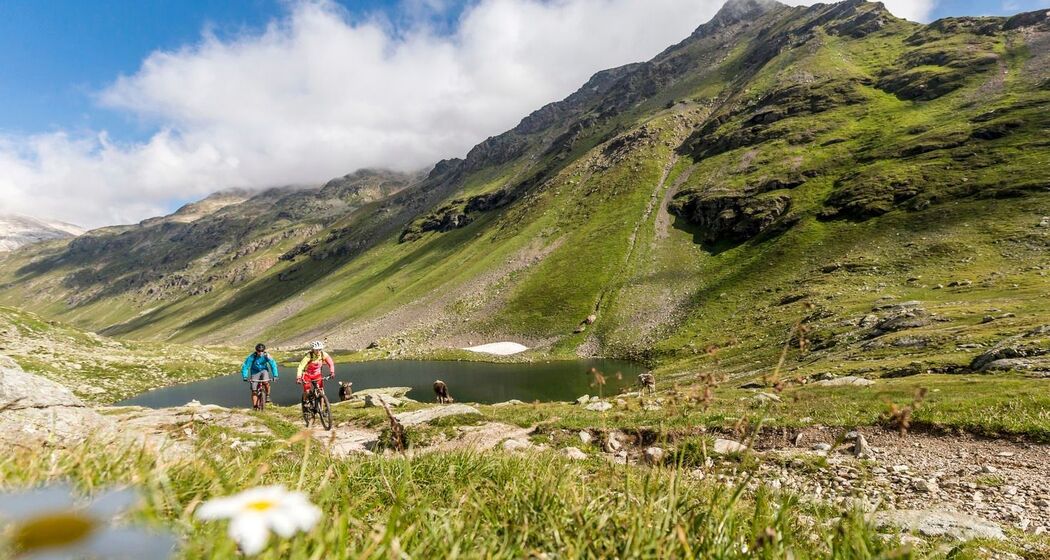 Lej Minor (oua_620279569_image)