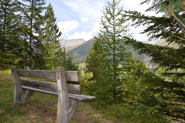 Sitzbank Waldgalerie (oua_620279607_image)