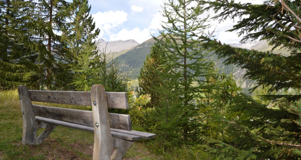 Sitzbank Waldgalerie (oua_620279607_image)