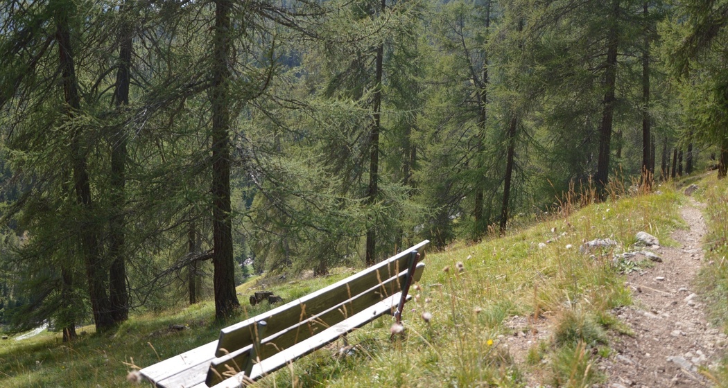 Sitzbank God Arschaida 2 (oua_620279618_image)