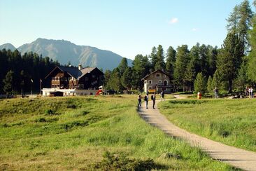 Foresta di Staz (oua_620279663_image)