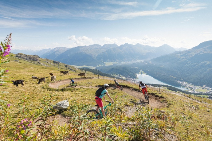 Suvrettapass (oua_620279672_image)