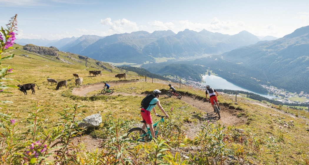 Suvrettapass (oua_620279672_image)