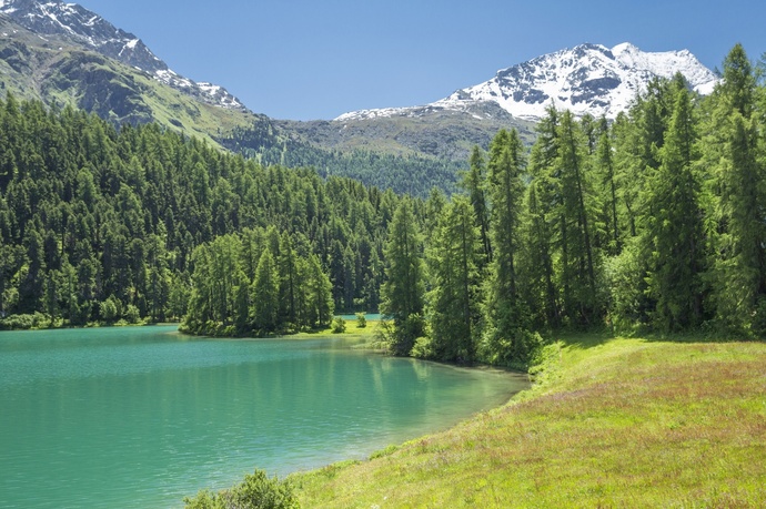 Lej da Champfèr (oua_620279728_image)