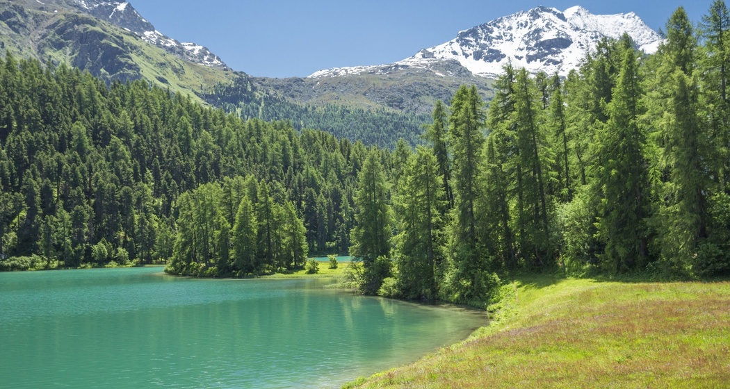 Lej da Champfèr (oua_620279729_image)