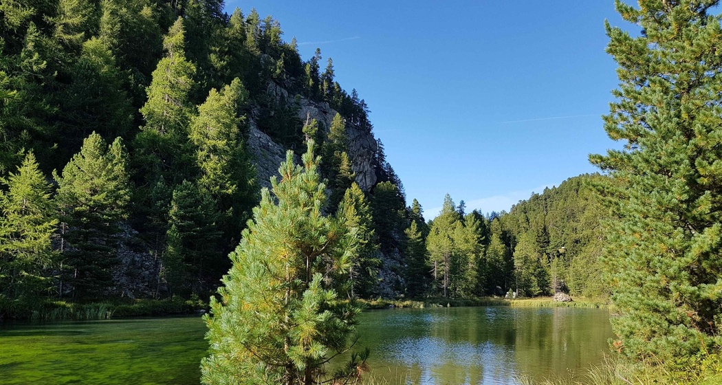 Lej Ovis-chel (oua_620279835_image)