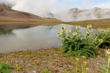 Lej da la Pêsch (oua_620279858_image)